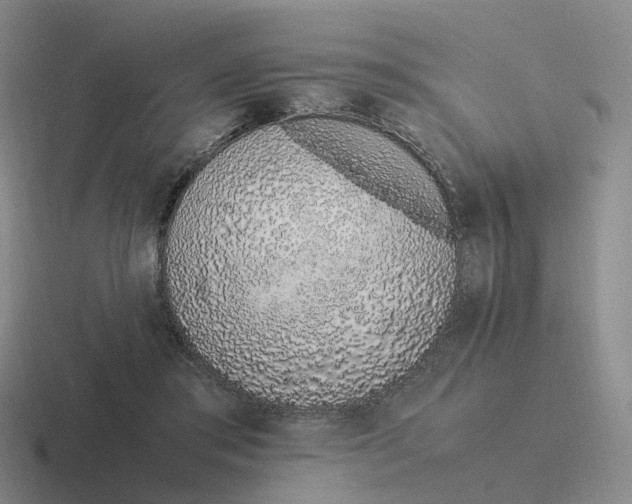X0000116880405201001051508