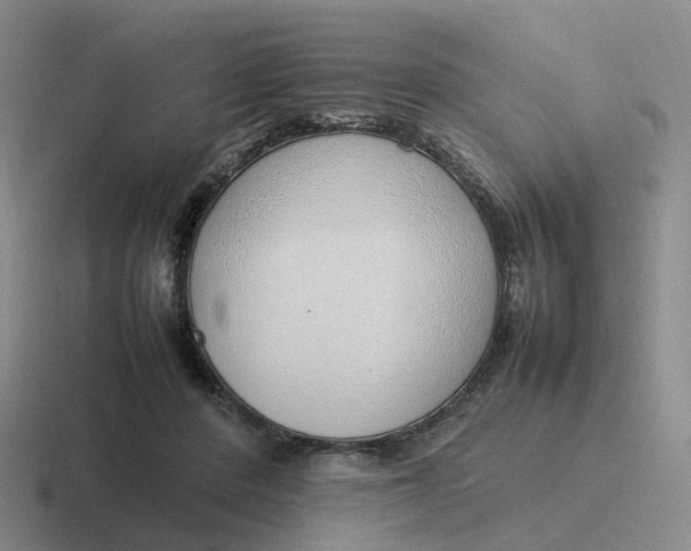 X0000116880408201001051508