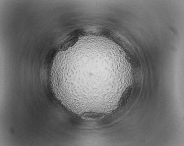 X0000116880409201001051508