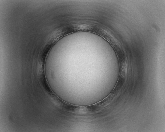 X0000116880410201001051508