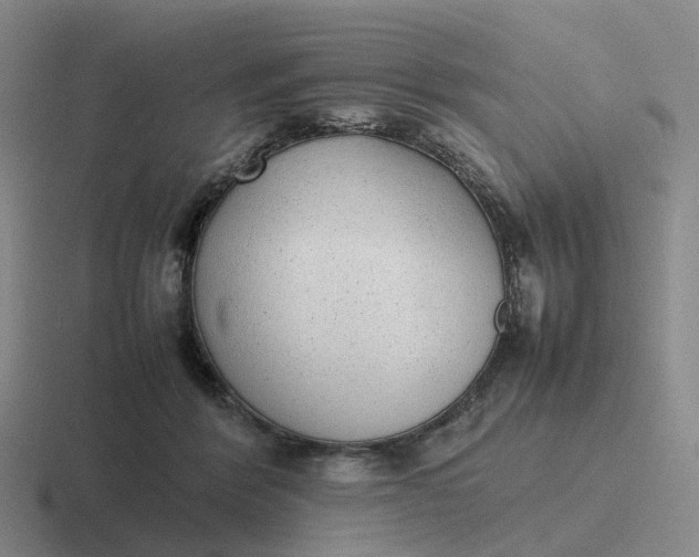 X0000116880412201001051508