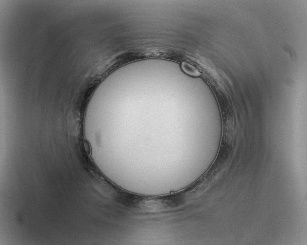 X0000116880413201001051508