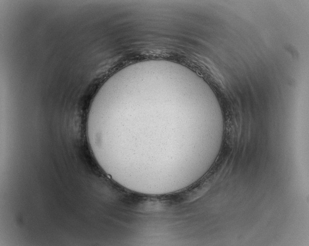 X0000116880416201001051508