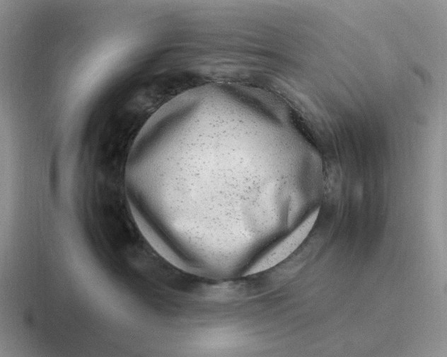 X0000116880430201001051508