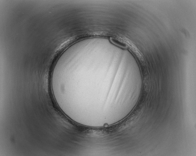 X0000116880442201001051507