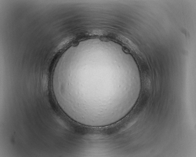 X0000116880444201001051507