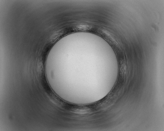 X0000116880459201001051507