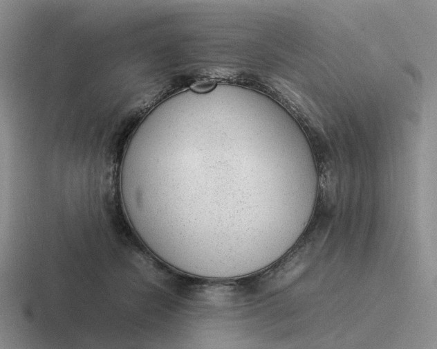 X0000116880462201001051507