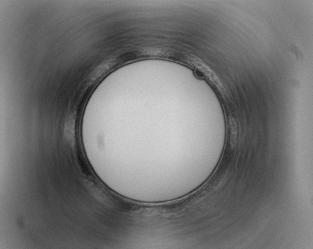 X0000116880482201001051507