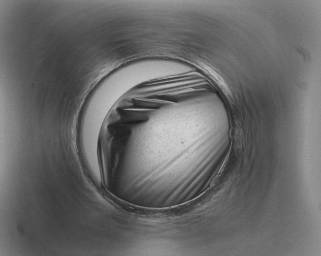 X0000116880485201001051507