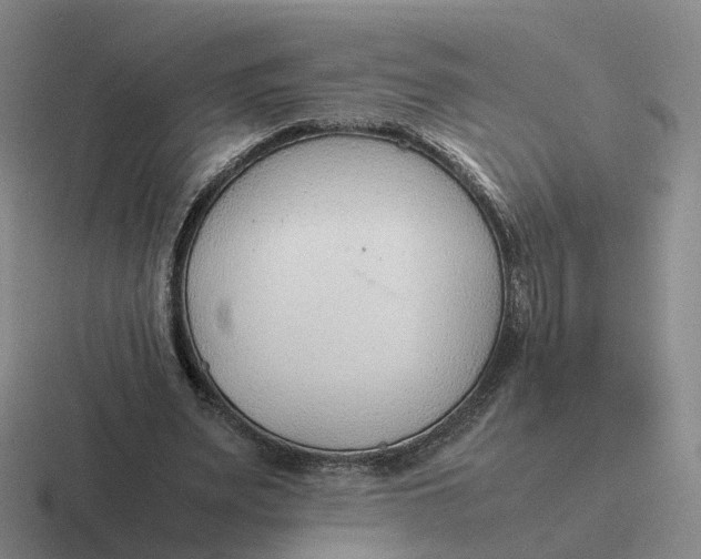 X0000116880487201001051507