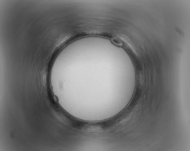 X0000116880491201001051507