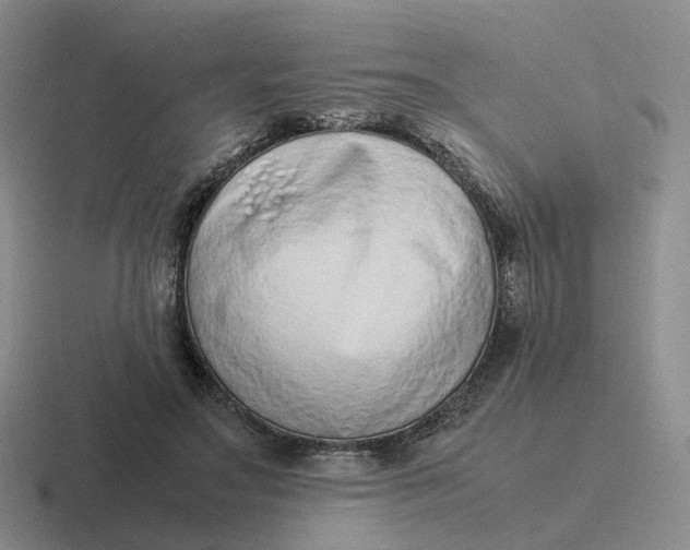 X0000116880499201001051507