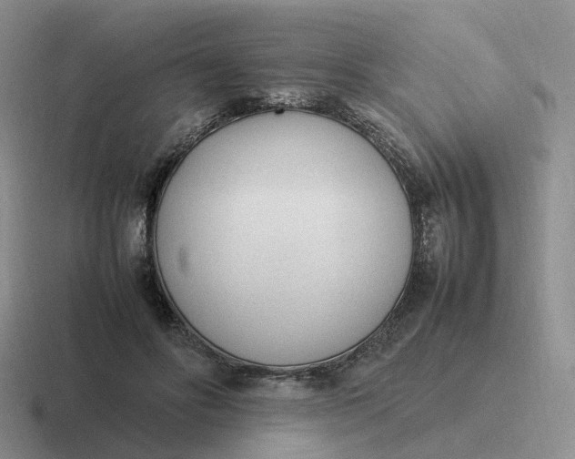 X0000116880502201001051507