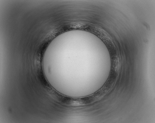 X0000116880510201001051507