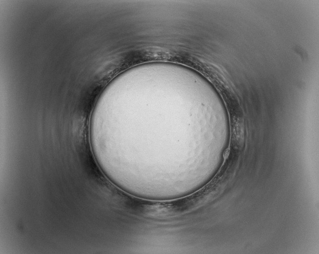 X0000116880511201001051507