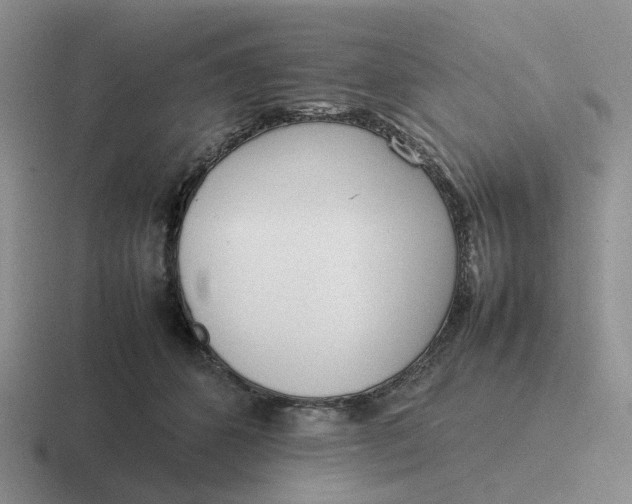 X0000116880512201001051507