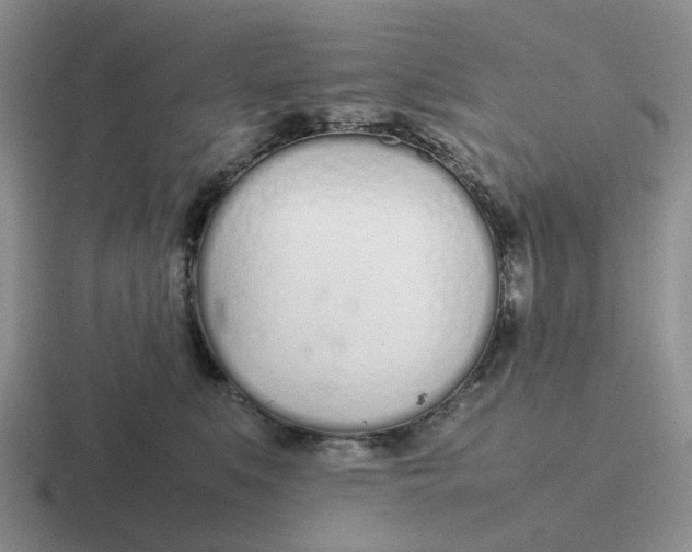 X0000116880519201001051506