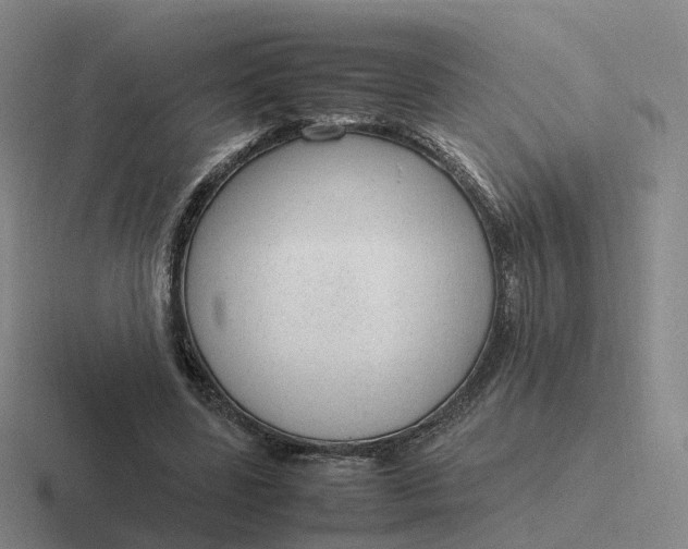 X0000116880539201001051506