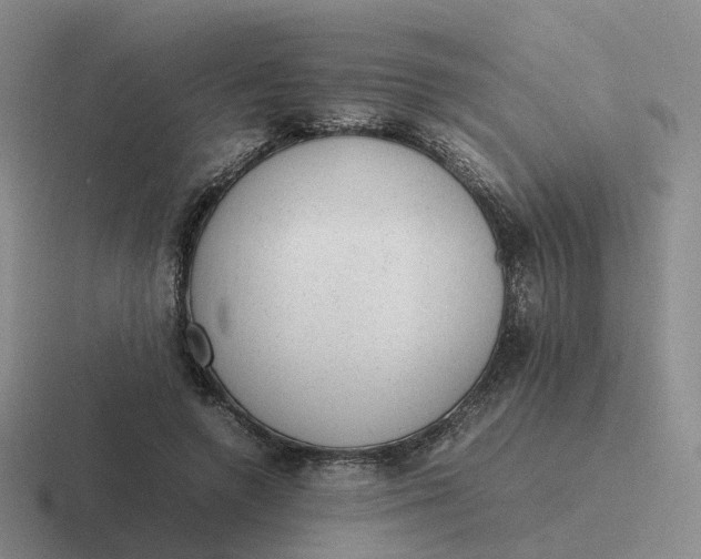 X0000116880546201001051506