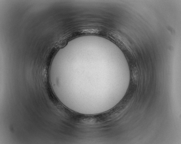 X0000116880551201001051506