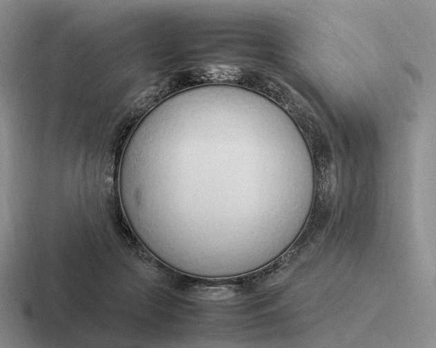 X0000116880553201001051506
