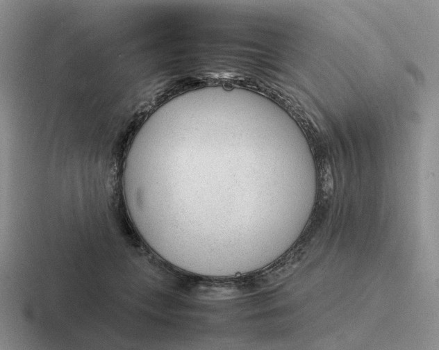 X0000116880559201001051506