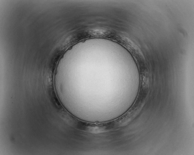 X0000116880561201001051506