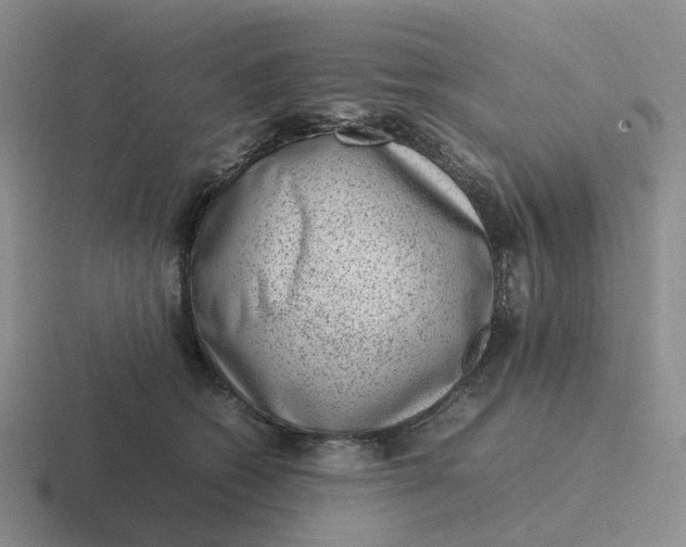 X0000116880562201001051506