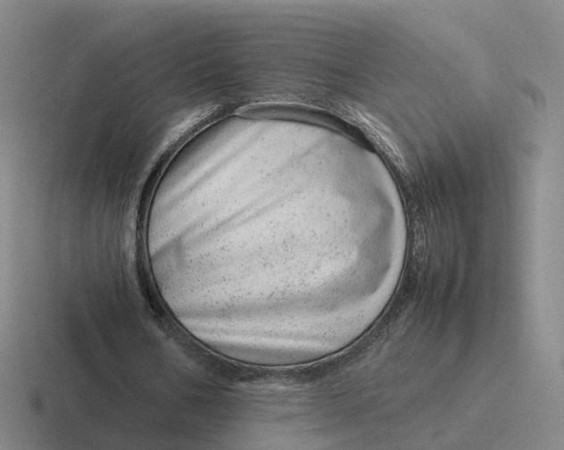 X0000116880578201001051506