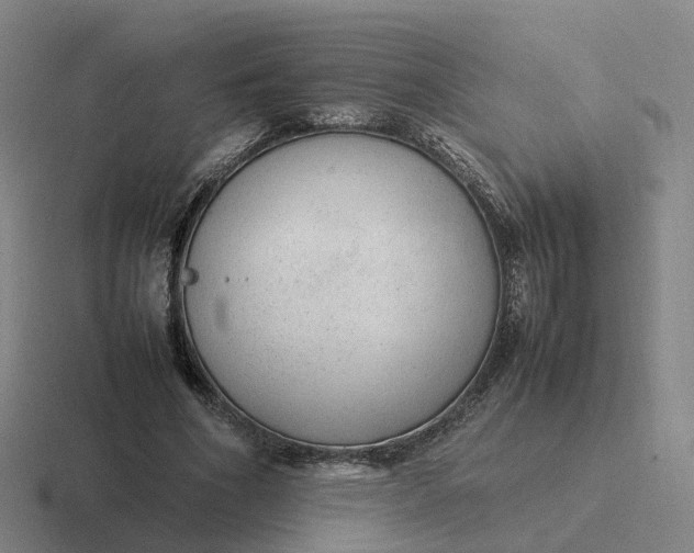 X0000116880586201001051506