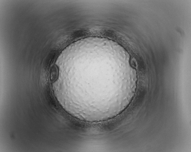 X0000116880593201001051506