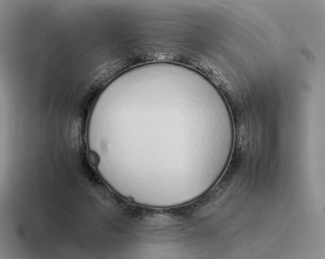 X0000116880594201001051506