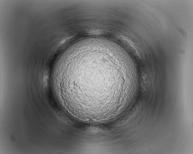 X0000116880596201001051505