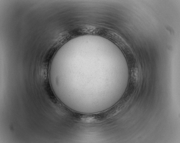 X0000116880602201001051505