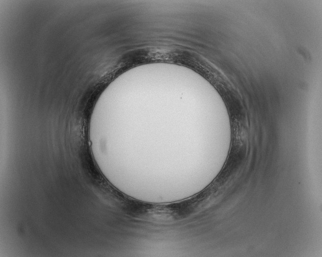 X0000116880603201001051505