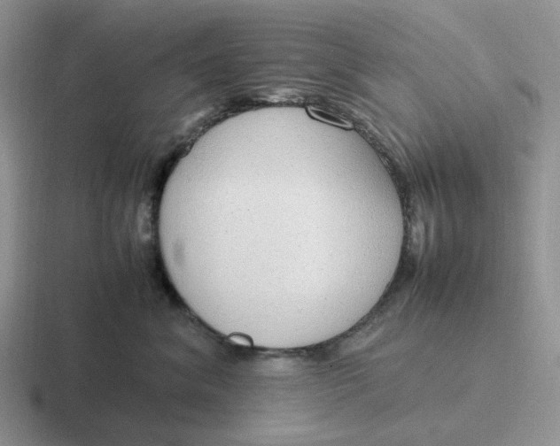 X0000116880620201001051505