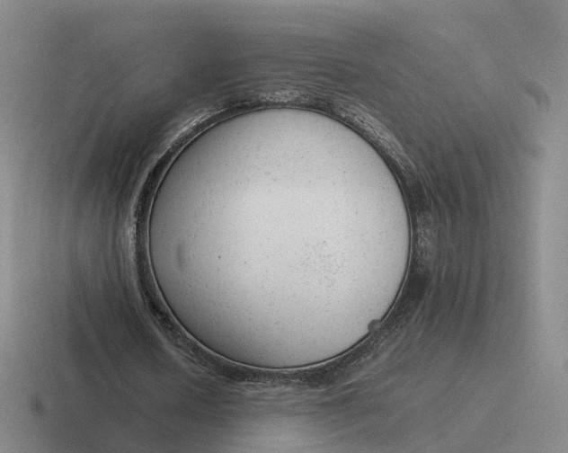 X0000116880626201001051505