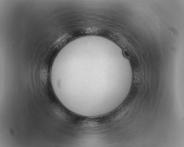 X0000116880648201001051505