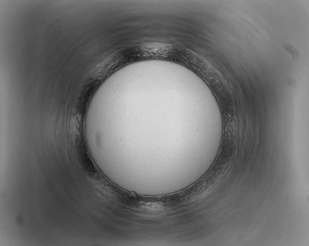 X0000116880649201001051505