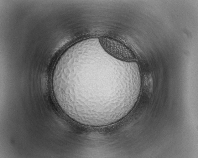 X0000116880684201001051504
