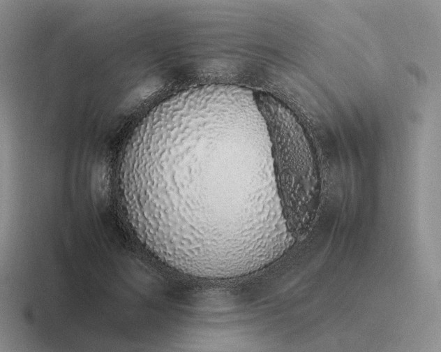 X0000116880692201001051504