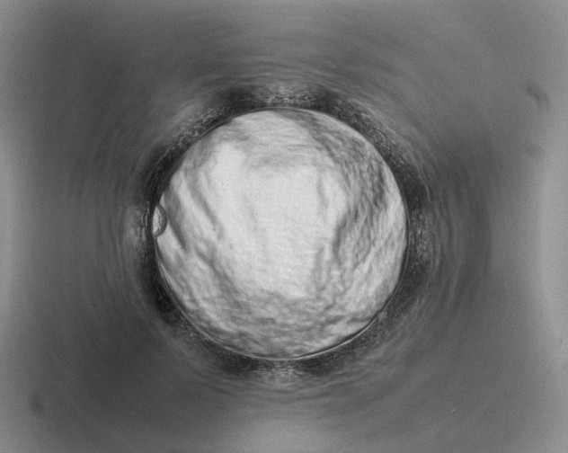X0000116880695201001051504