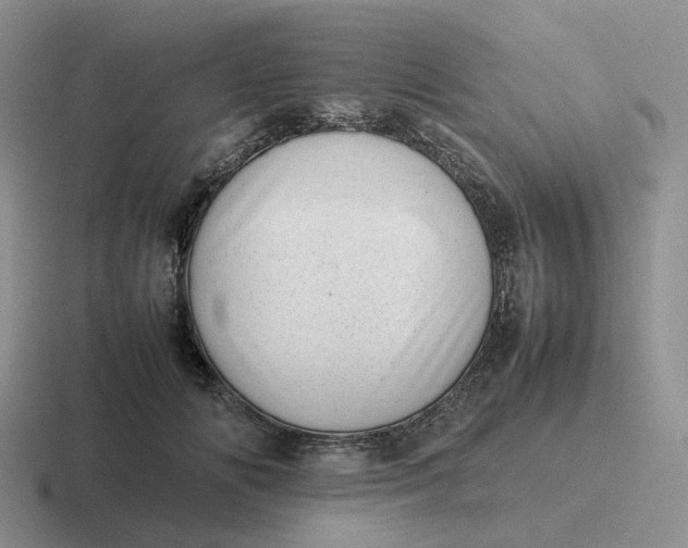 X0000116880702201001051504