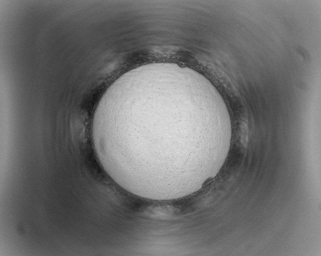 X0000116880712201001051504