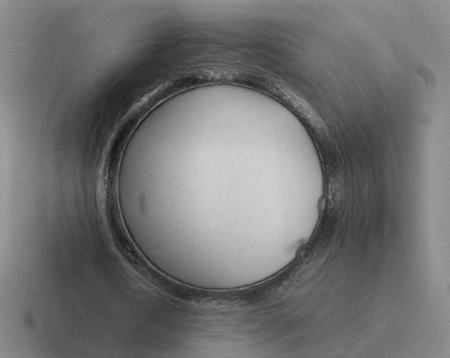 X0000116880722201001051503