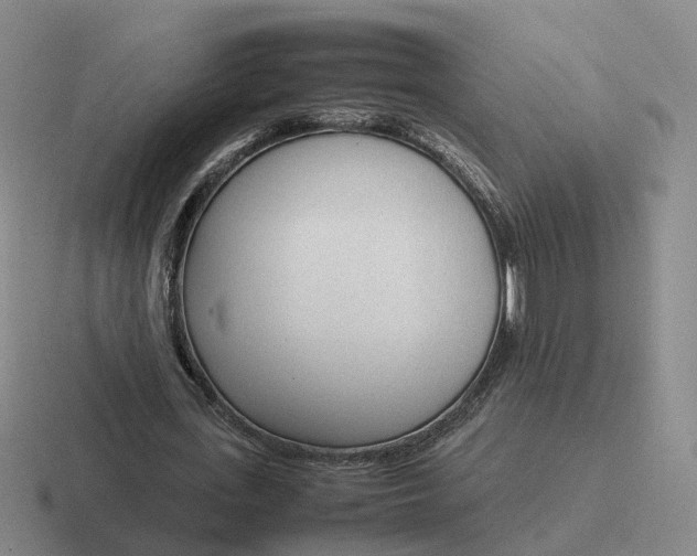 X0000116880723201001051503