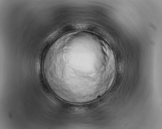 X0000116880733201001051503