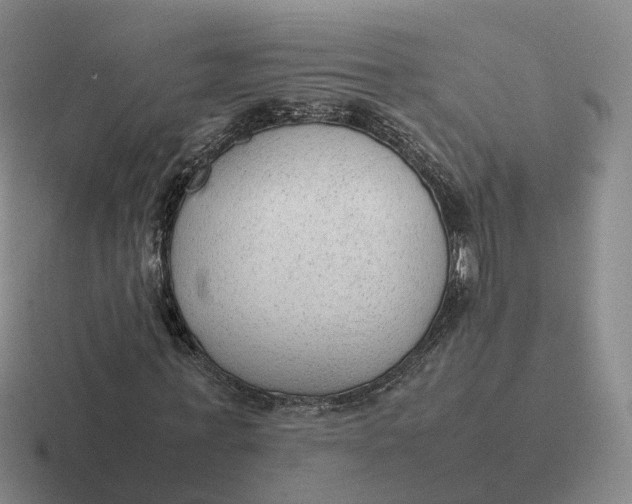 X0000116880771201001051503
