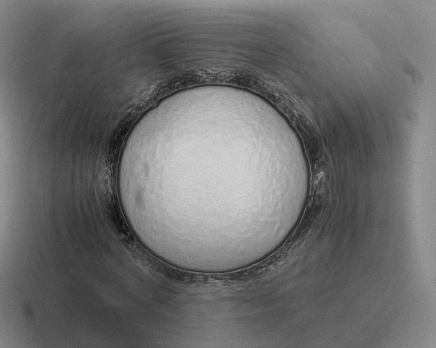 X0000116880772201001051503